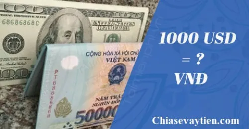 100 Đô La bằng bao nhiêu tiền Việt Nam? Cập nhập mới nhất ...