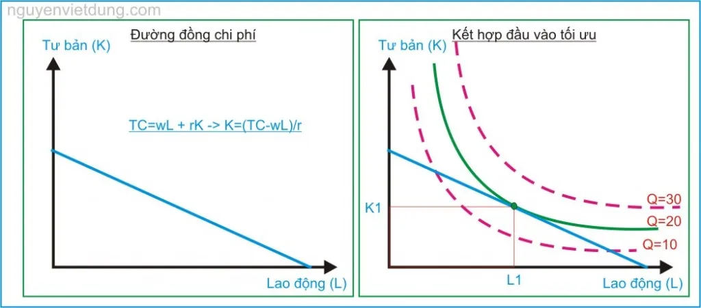 kinh te hoc p20-ket hop dau vao dau ra