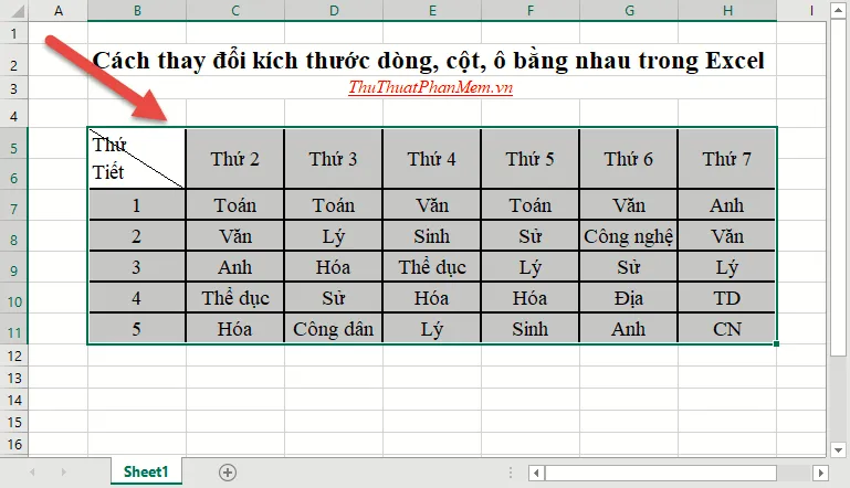 Kết quả đã thay đổi kích thước dòng, cột, ô bằng nhau