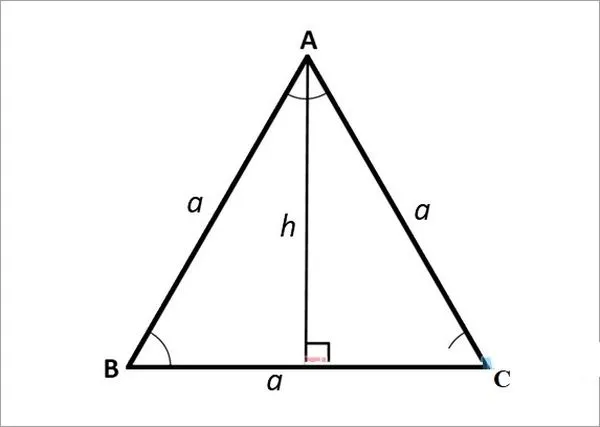 Tính đường cao tam giác đều ABC có cạnh bằng a