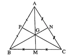 đường trung tuyến trong tam giác cân