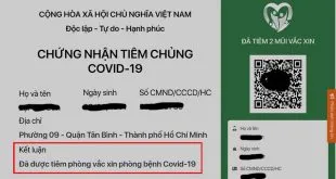 Cách tra cứu chứng nhận tiêm chủng trên Zalo lấy thẻ xanh đã tiêm 2 mũi