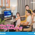 Hạ băng thông Vinaphone là gì? Bóp băng thông Vinaphone là gì?