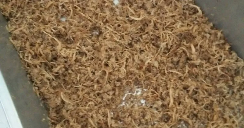 Ruốc nấm sò tím