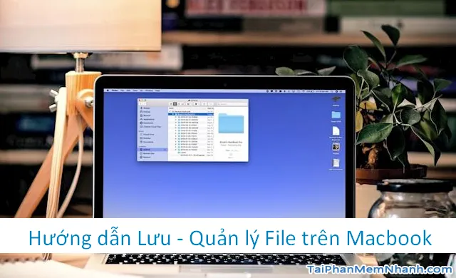 Hướng dẫn Lưu & Quản lý File trên máy tính Macbook + Hình 1