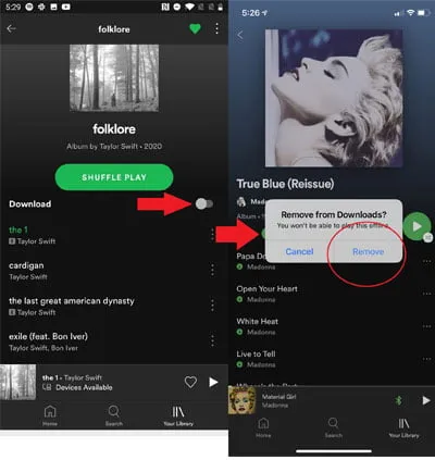 Cách Tải nhạc từ Spotify về Máy tính hình 5