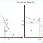 Kinh tế học (P7: Co giãn của cung và cầu)