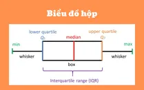 Biểu đồ hộp (Box Plot) là gì? Đặc trưng và ví dụ