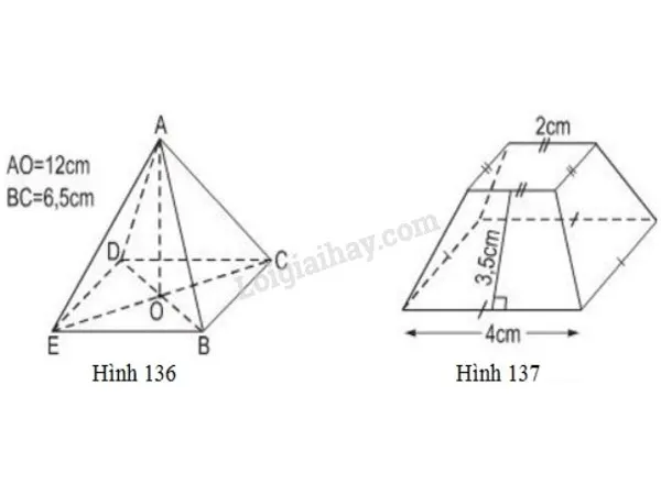 voh.com.vn-hinh-chop-5