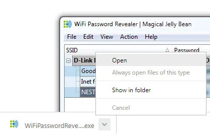 Mở WiFi Password Revealer trong trình duyệt