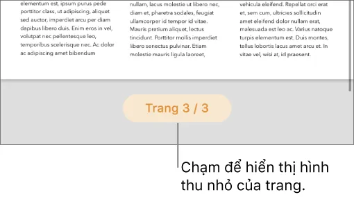 Một tài liệu đang mở với nút số trang ở dưới cùng ở giữa màn hình.