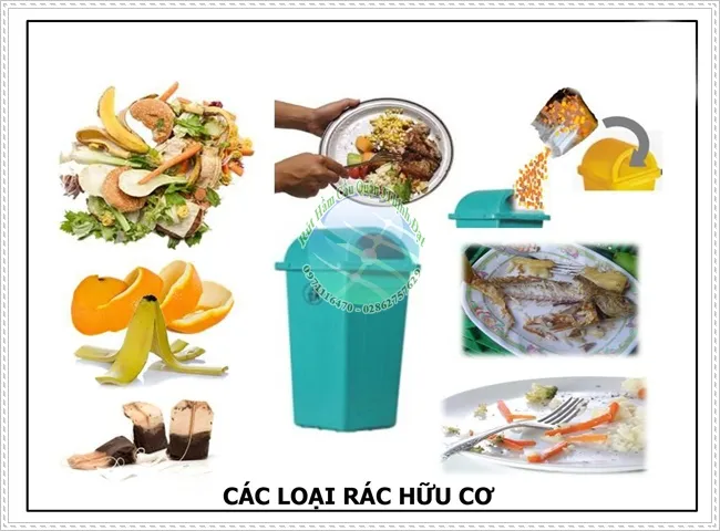 Cách xử lý rác thải hữu cơ