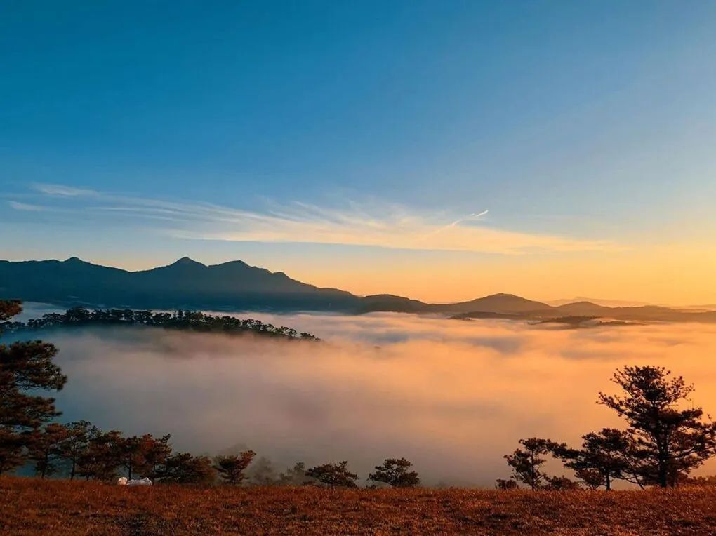 săn mây đà lạt