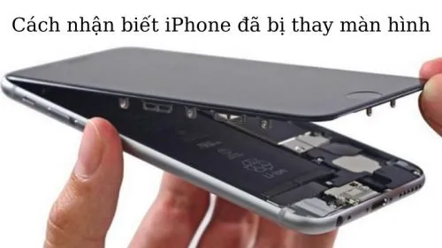 Cách nhận biết iPhone đã bị thay màn hình