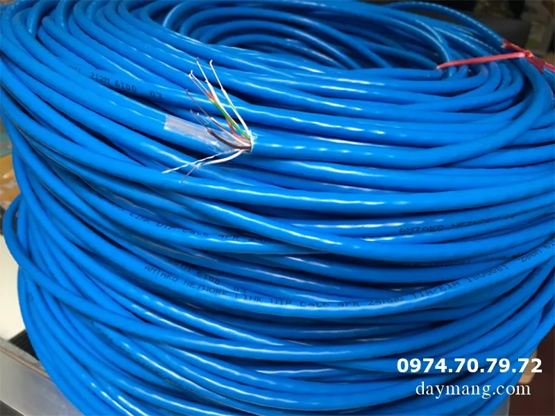 dây mạng cat6e amp màu xanh dương