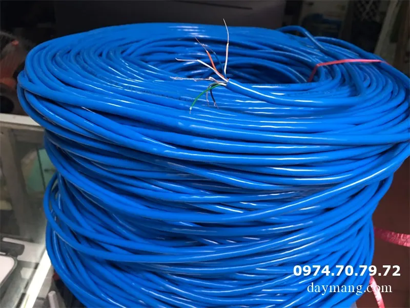 dây mạng amp cat5e màu xanh dương