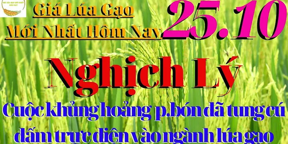 1m3 Lua Bằng Bao Nhieu Kg