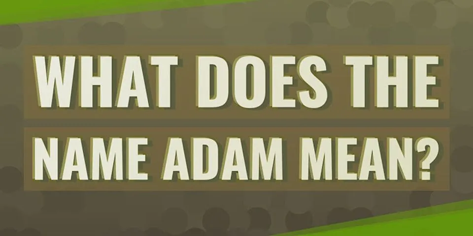 adam là gì - Nghĩa của từ adam