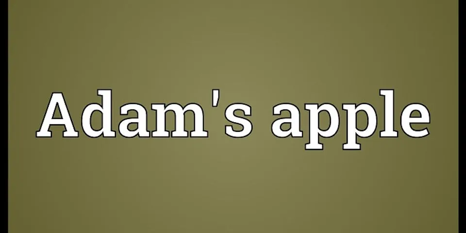 adams apple là gì - Nghĩa của từ adams apple
