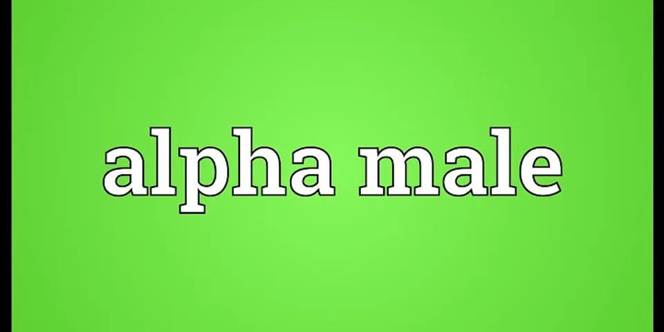 alpha male là gì - Nghĩa của từ alpha male
