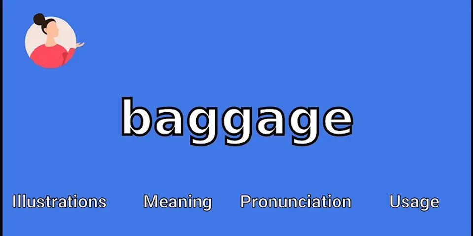 baggage là gì - Nghĩa của từ baggage
