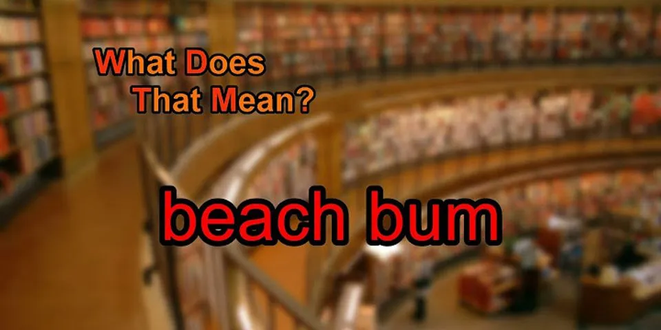 beach bum là gì - Nghĩa của từ beach bum