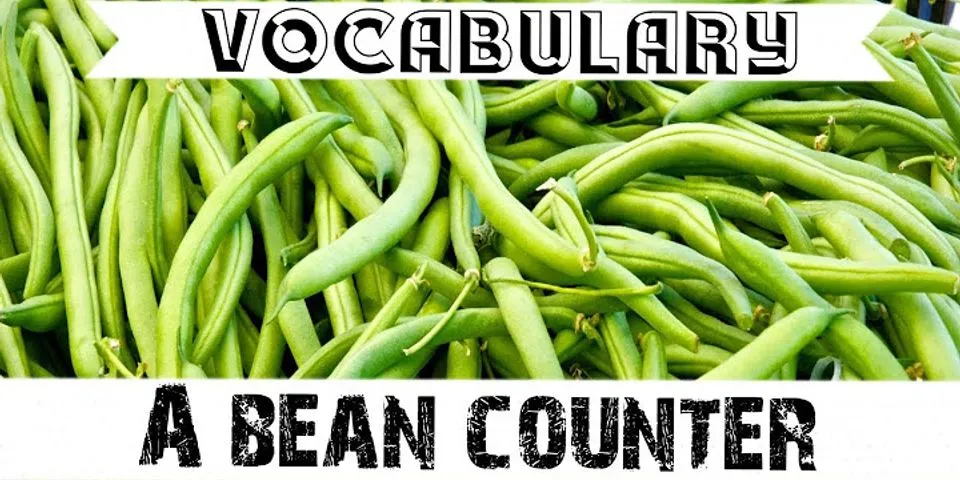 bean counter là gì - Nghĩa của từ bean counter
