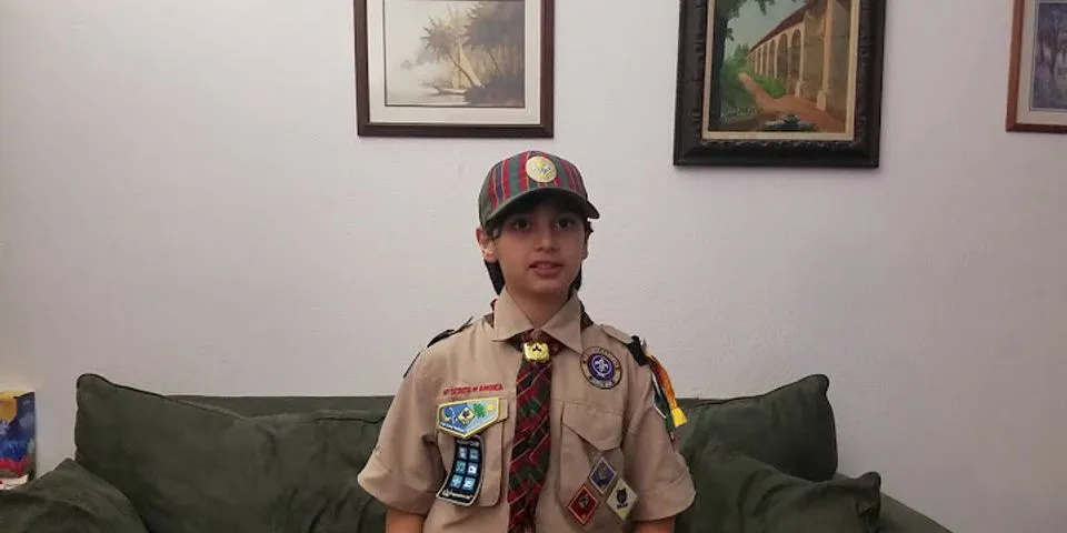 boy scout salute là gì - Nghĩa của từ boy scout salute