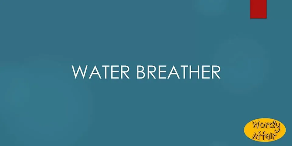 breather là gì - Nghĩa của từ breather