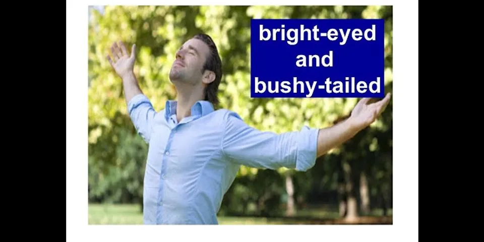 bright eyed bushy tailed là gì - Nghĩa của từ bright eyed bushy tailed