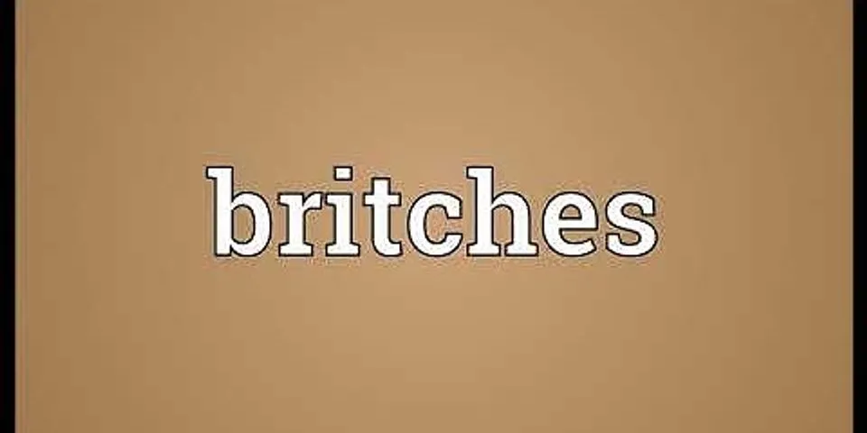 britches là gì - Nghĩa của từ britches