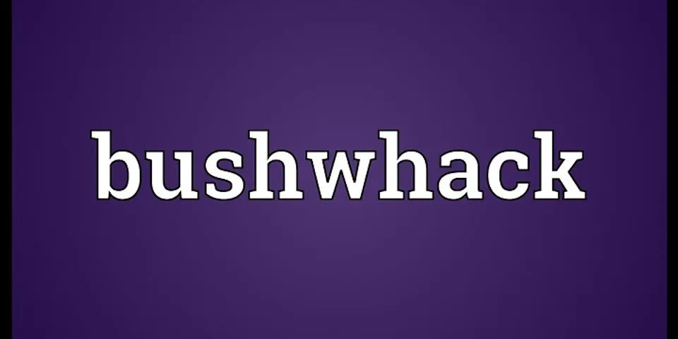 bushwhacked là gì - Nghĩa của từ bushwhacked