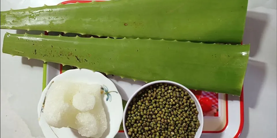 Cách nấu chè nha đam đậu xanh