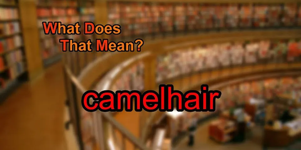 camel hair là gì - Nghĩa của từ camel hair