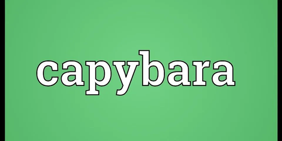 capybara là gì - Nghĩa của từ capybara