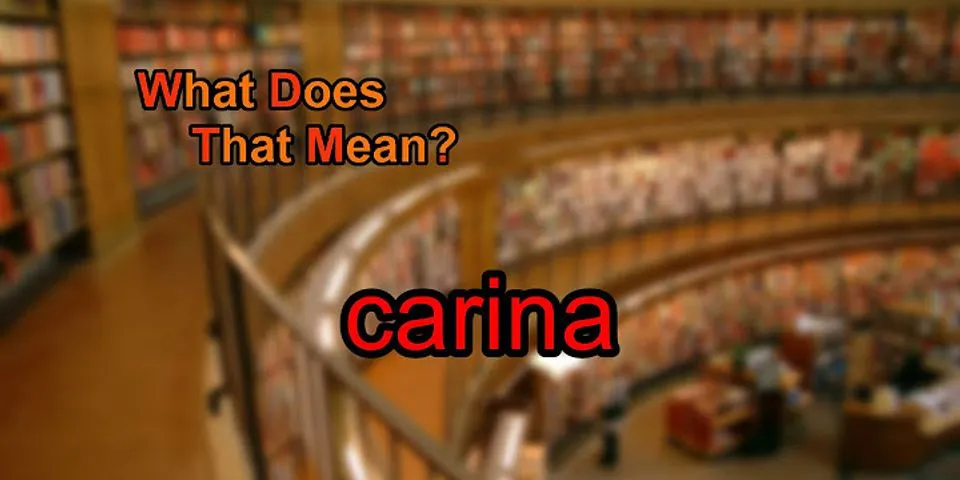 carina là gì - Nghĩa của từ carina