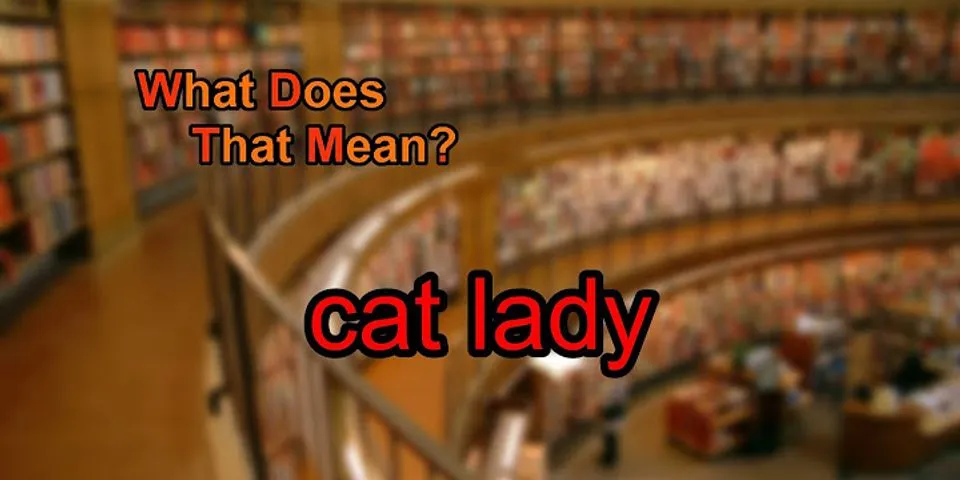 cat lady là gì - Nghĩa của từ cat lady