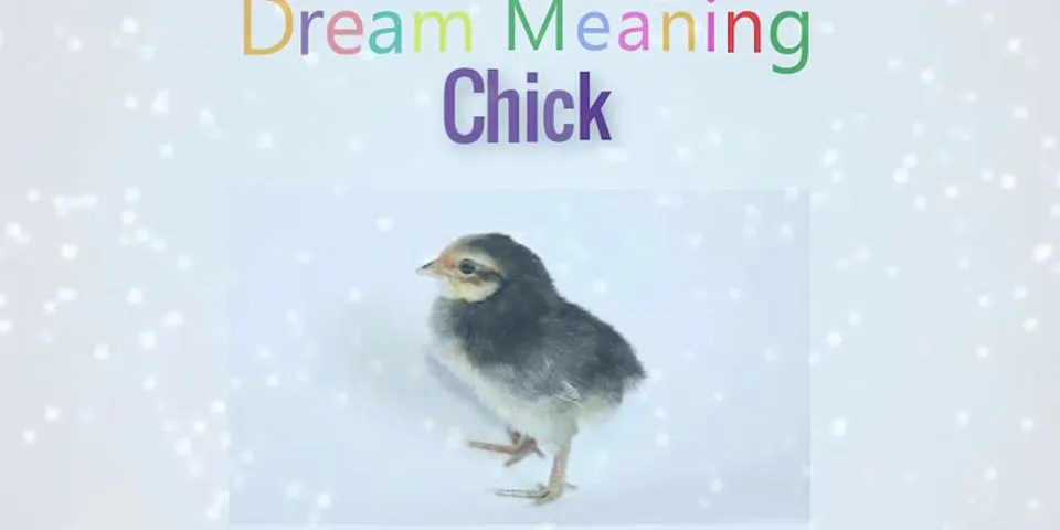 chick là gì - Nghĩa của từ chick