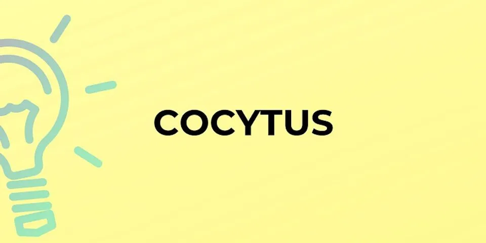 cocytus là gì - Nghĩa của từ cocytus