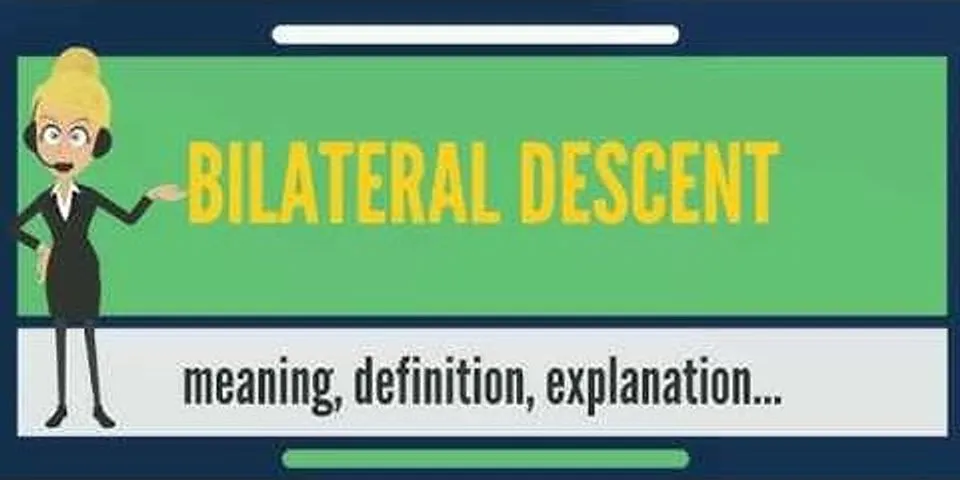descent là gì - Nghĩa của từ descent