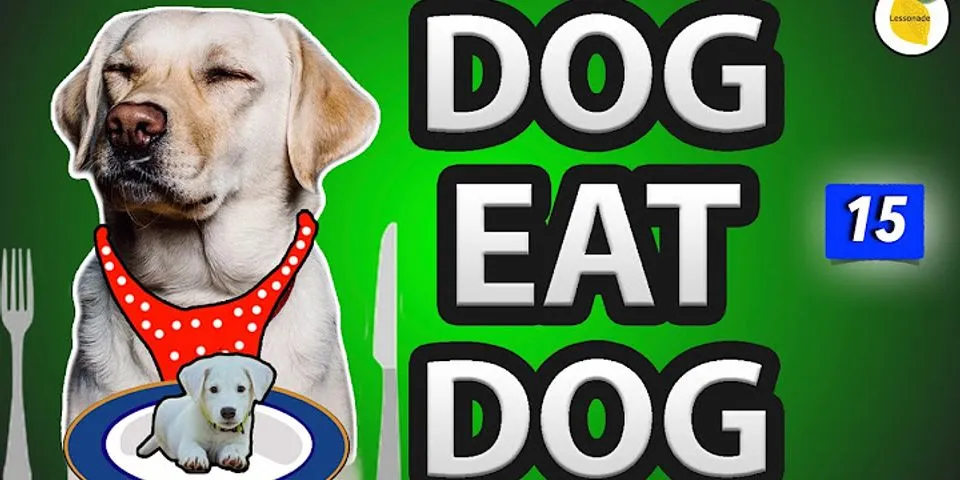 dog eat dog là gì - Nghĩa của từ dog eat dog
