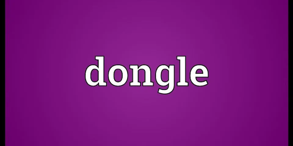 dongle là gì - Nghĩa của từ dongle