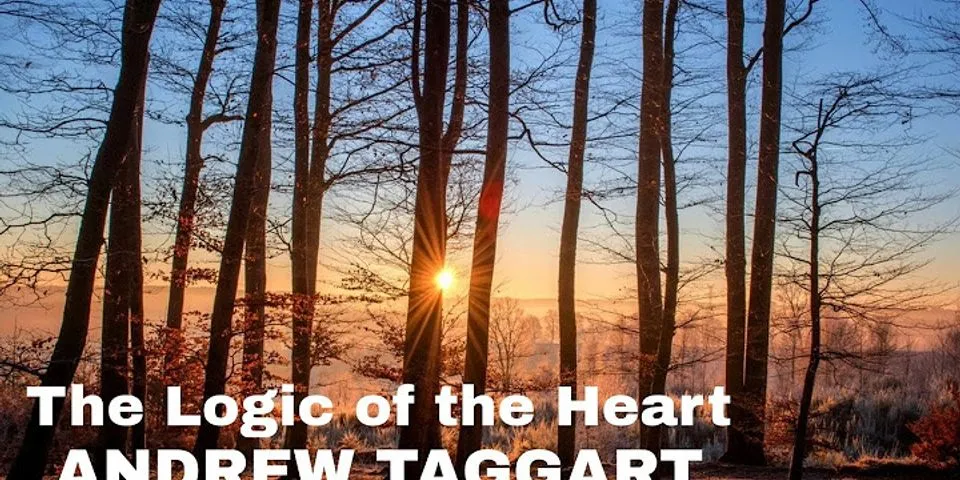drew taggart là gì - Nghĩa của từ drew taggart