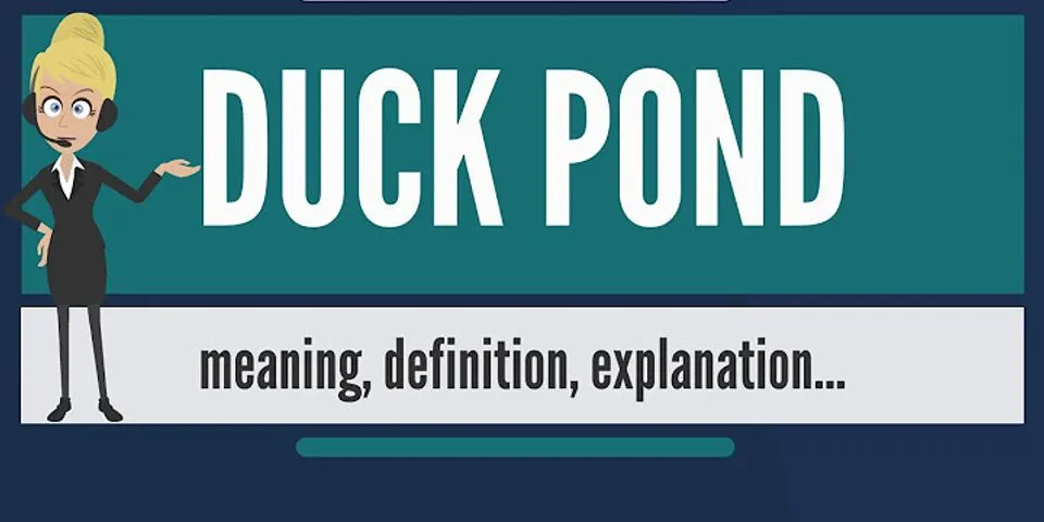 duck pond là gì - Nghĩa của từ duck pond
