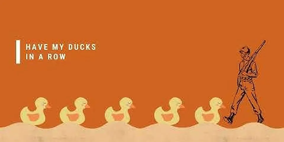 ducks in a row là gì - Nghĩa của từ ducks in a row