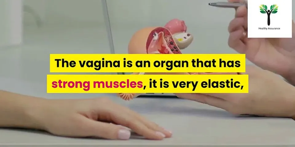 eating vagina là gì - Nghĩa của từ eating vagina