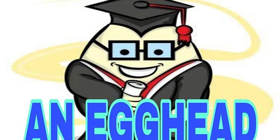 egghead-l-g-ngh-a-c-a-t-egghead