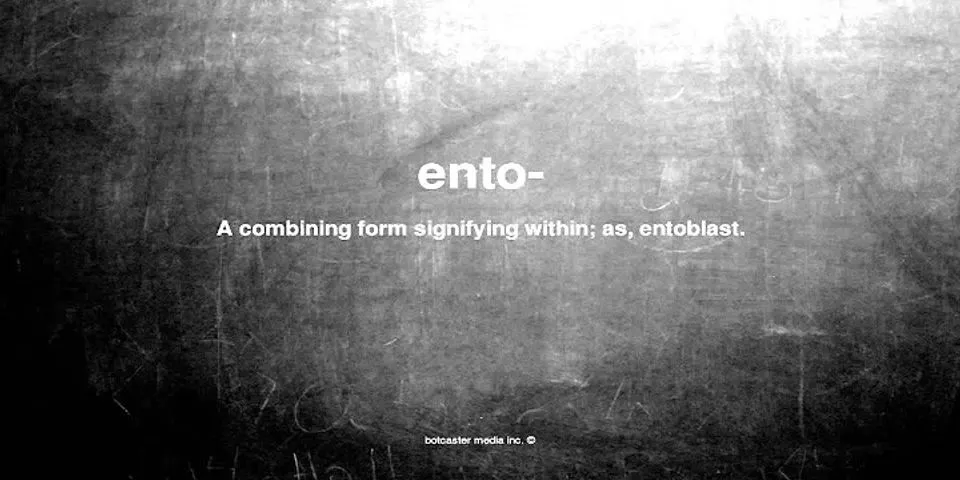 ento là gì - Nghĩa của từ ento