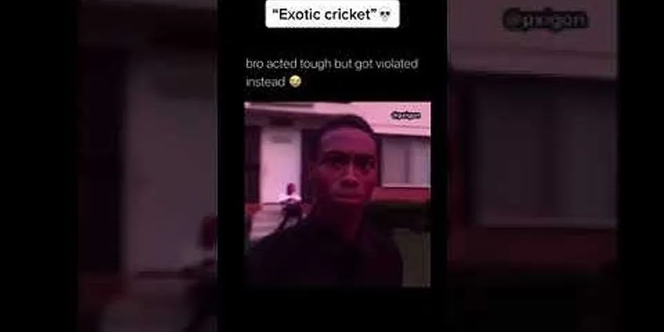 exotic cricket là gì - Nghĩa của từ exotic cricket