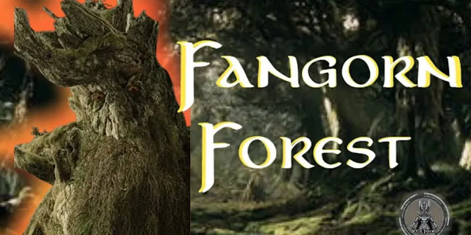 fangorn forest là gì - Nghĩa của từ fangorn forest